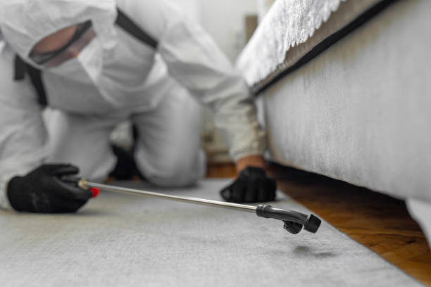 Professional Termite Control technician working in Charleroi, PA