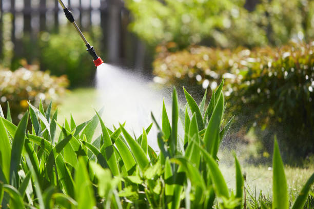 24/7 Emergency Termite Control experts in Charleroi, PA
