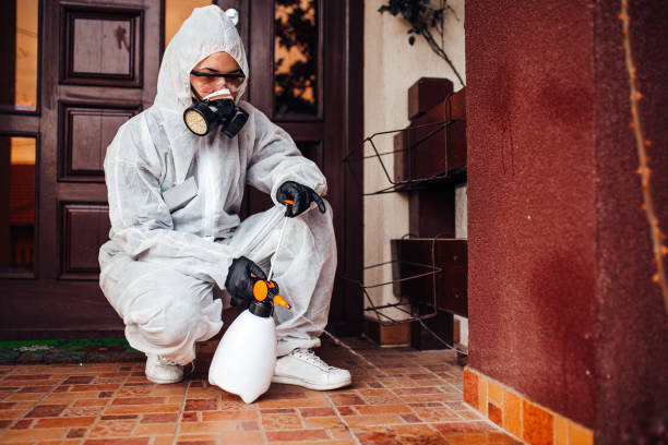 Reliable Termite Control contractor in Charleroi, PA by Nex Pest Control